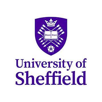 Sheffield University
